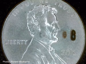 Photo showing relative size of an ambrosia beetle against a penny (the beetle is very tiny).