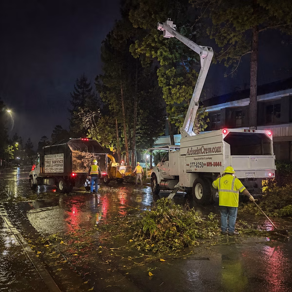 Storm Damage Cleanup in Ventura County & west Los Angeles County