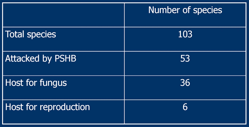 Table showing number of tree species related to Polyphagous Shot Hole Borer (PSHB). Total species: 103. Attacked by PSHB: 53. Host for fungus: 36. Host for reproduction: 6.